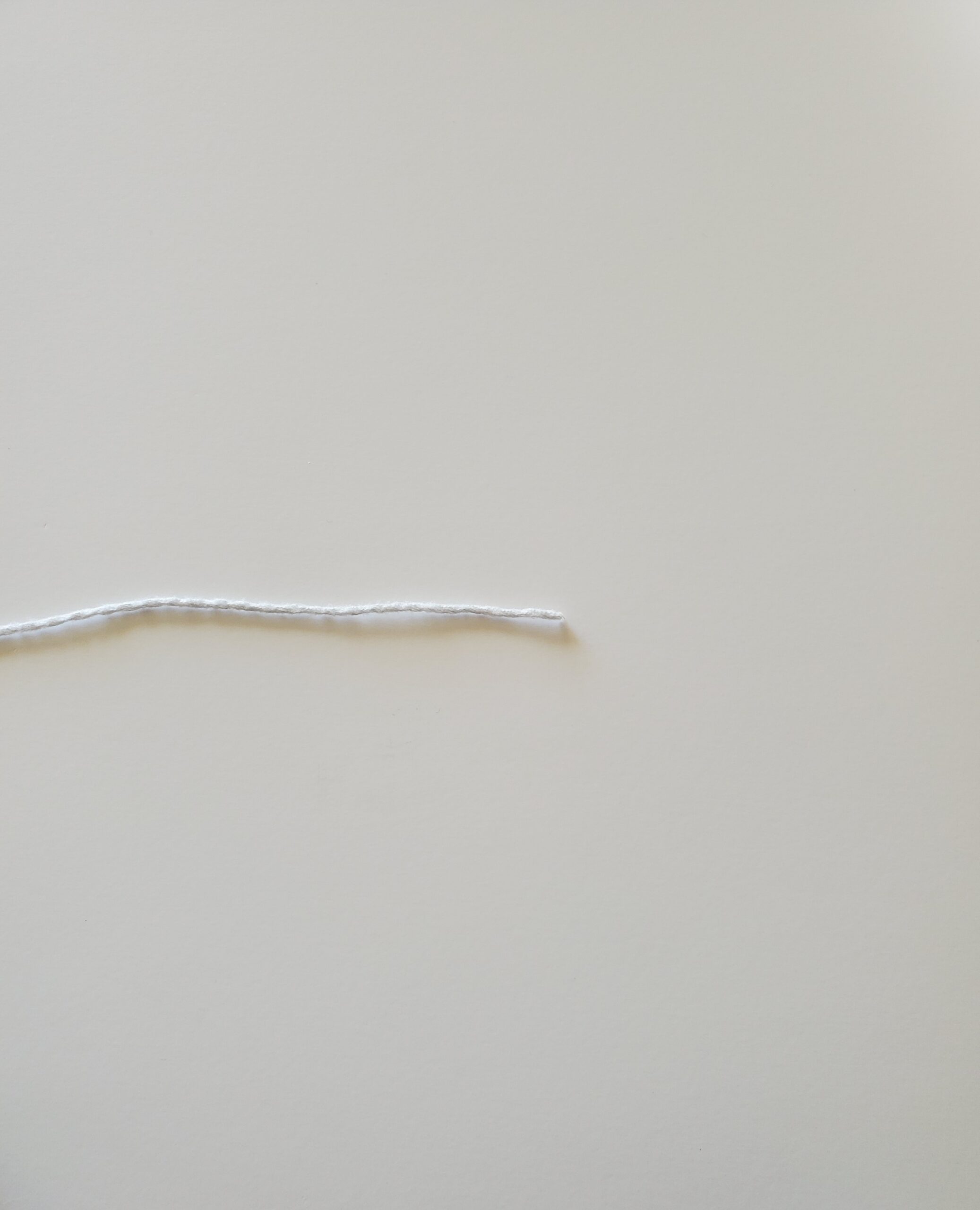 Step 1 of slip knot