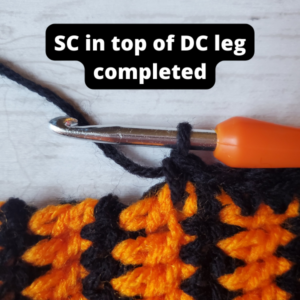 Crochet Halloween Washcloth Pattern