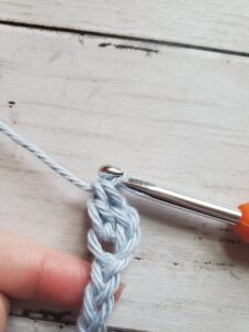 Completed Double Crochet in 3rd Chain