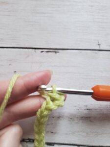 Finished Slip Stitch in Crochet