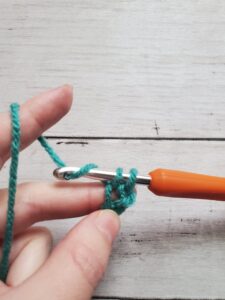 Grab Yarn with Hook Again