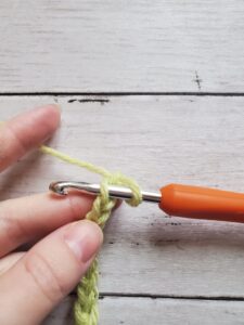 Insert Hook into Chain