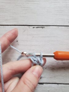 Pull Yarn Through First Two Loops