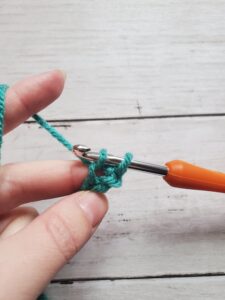 Two Loops on Hook for Single Crochet