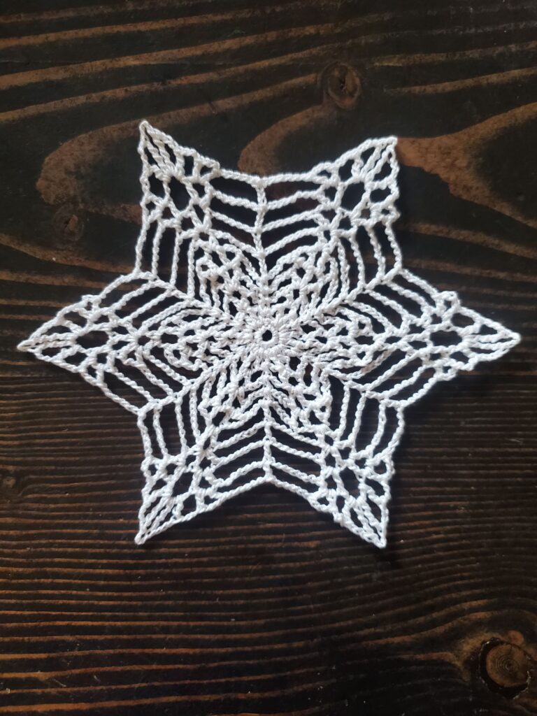 Big Wet Heavy Snowflake