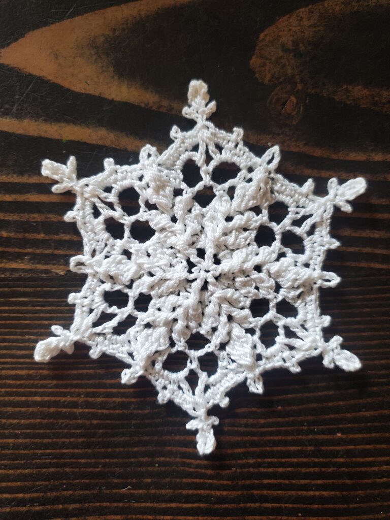 Winter Dream Snowflake