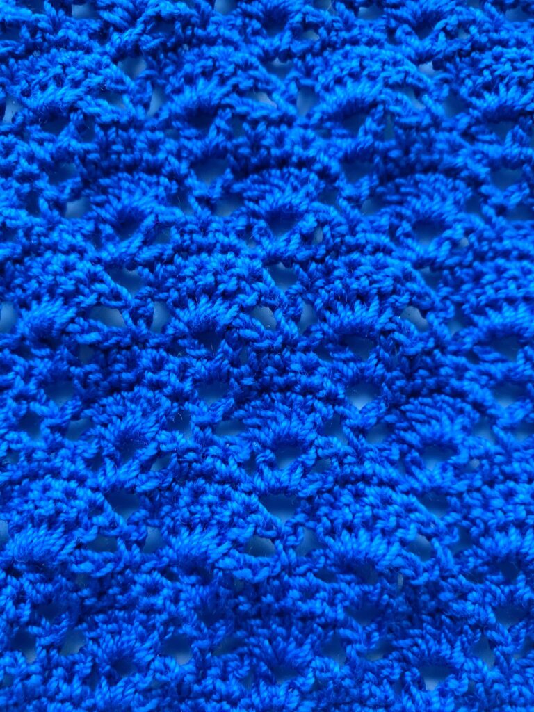 Blue Shell Stitch