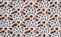 Lace Crochet Stitch Shell Flower